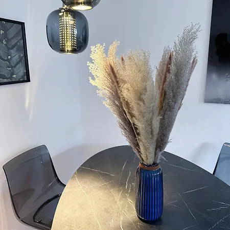 Fancy With 4k Tv For 3 People And 2 People Sleep Couch - Includes Kitchen Essen